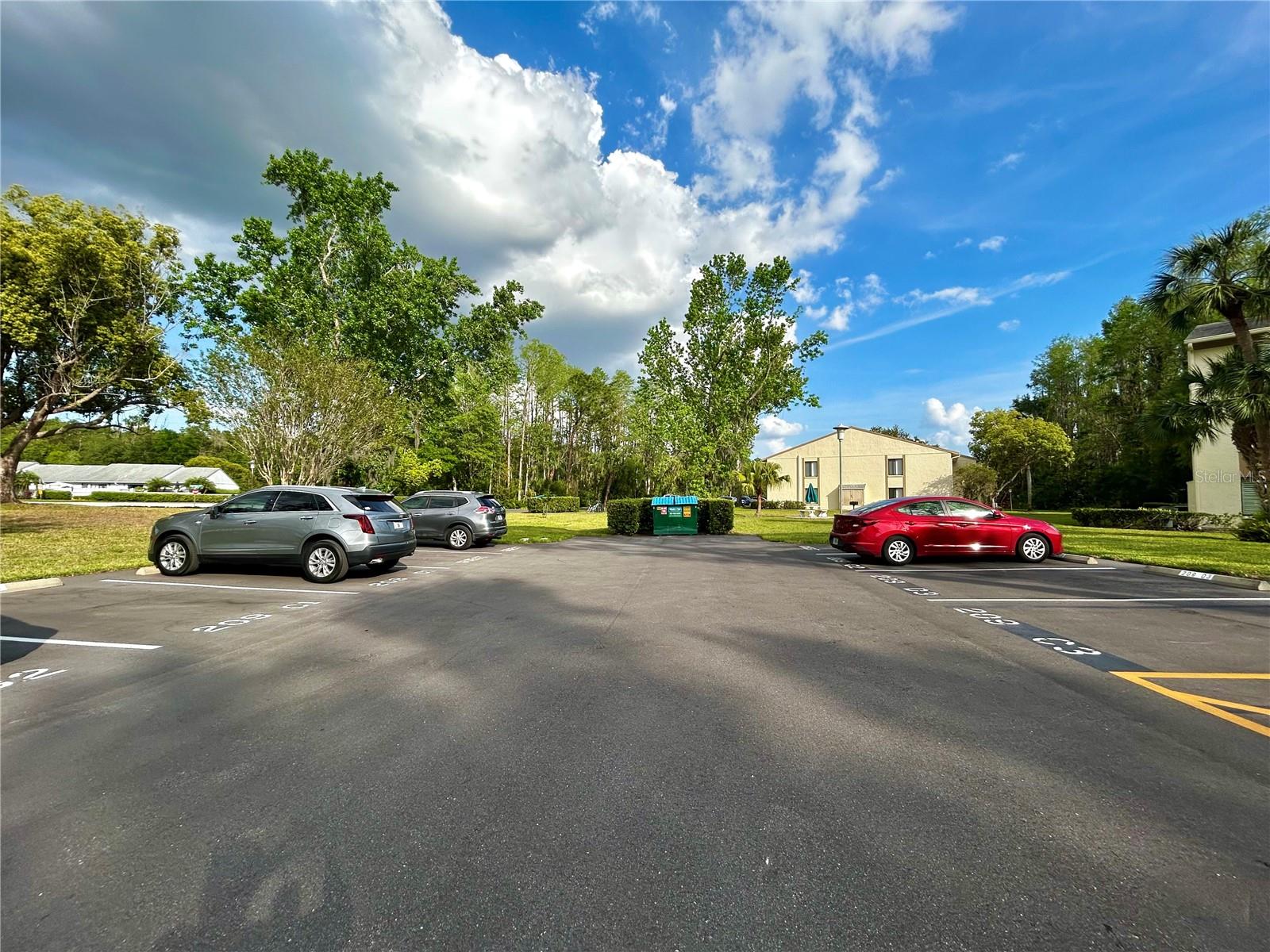 1423 PINE GLEN LN #D2, TARPON SPRINGS, FL, 34688