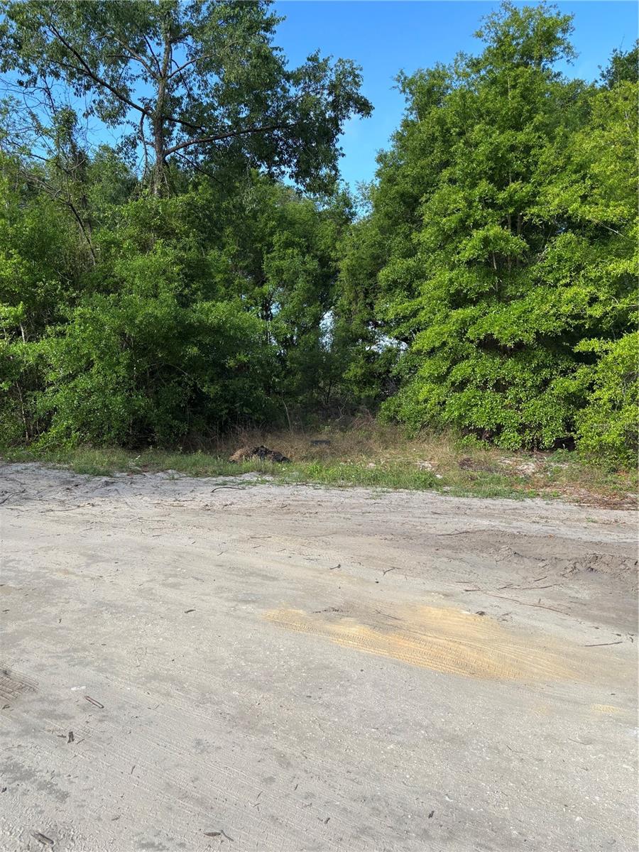 SE 36 CT, SUMMERFIELD, FL, 34491