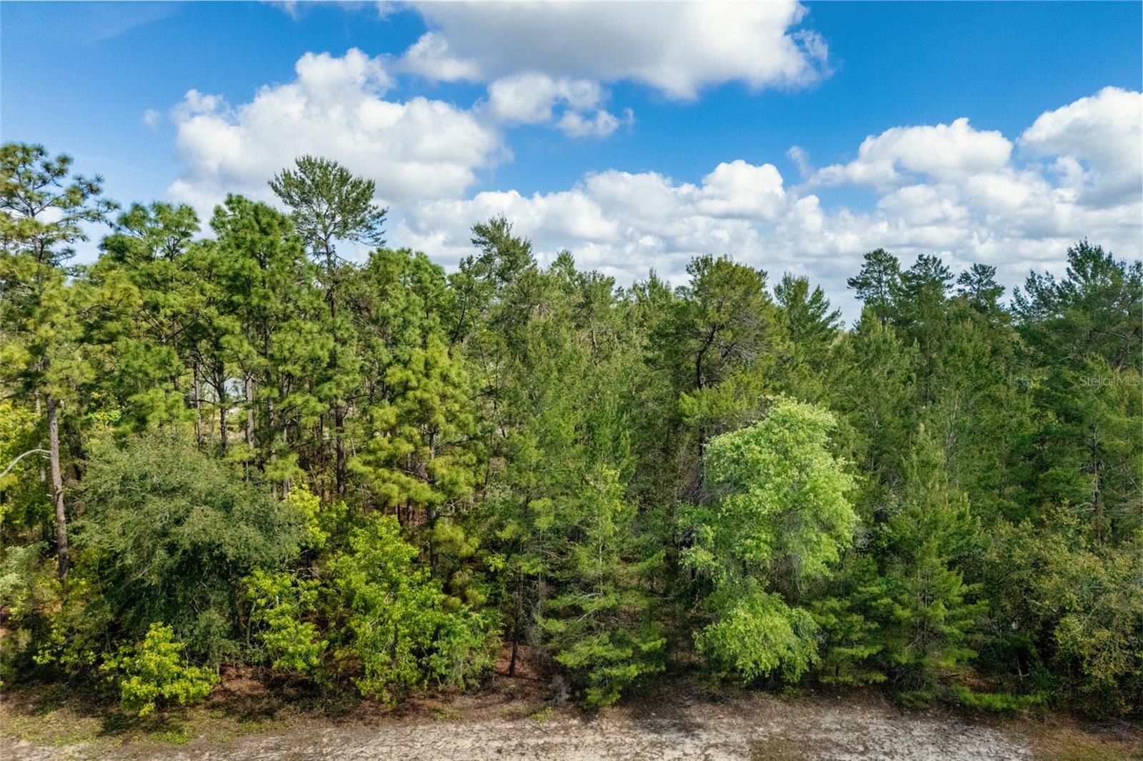 SW 41ST CIR, OCALA, FL, 34473