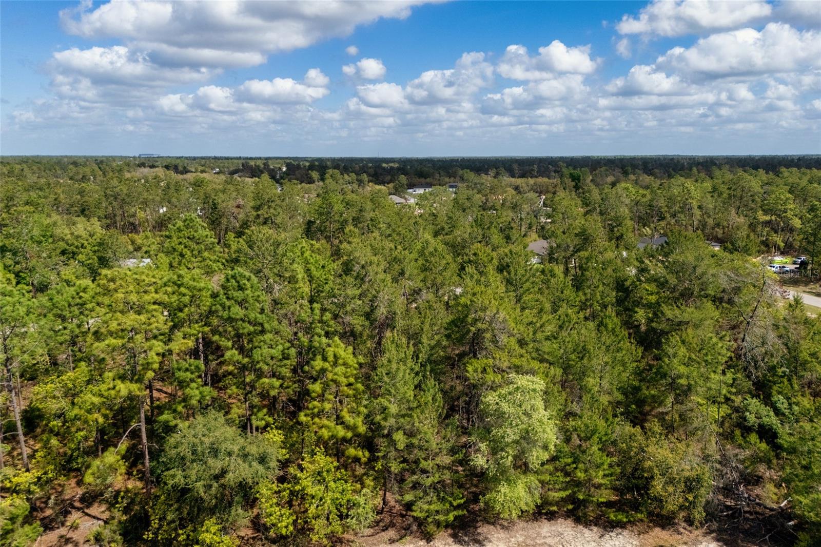SW 41ST CIR, OCALA, FL, 34473