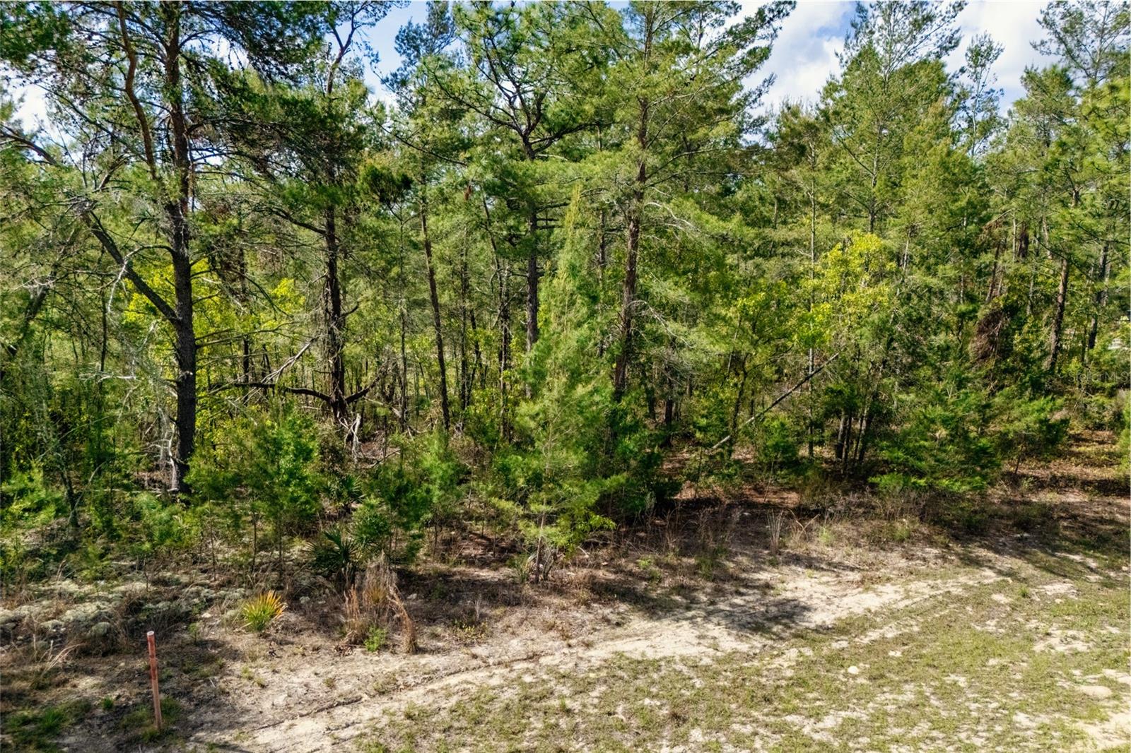 SW 41ST CIR, OCALA, FL, 34473