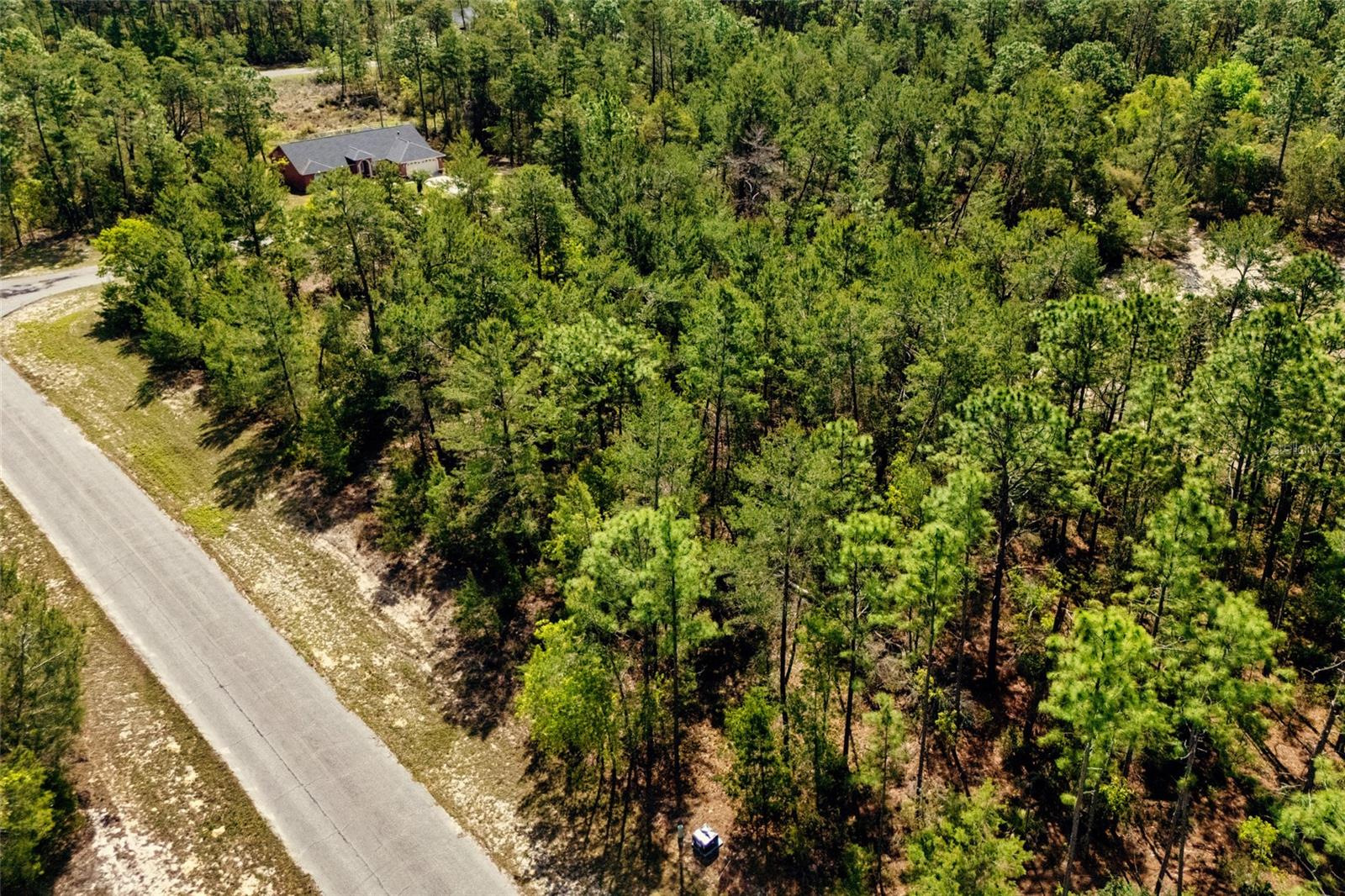 SW 41ST CIR, OCALA, FL, 34473