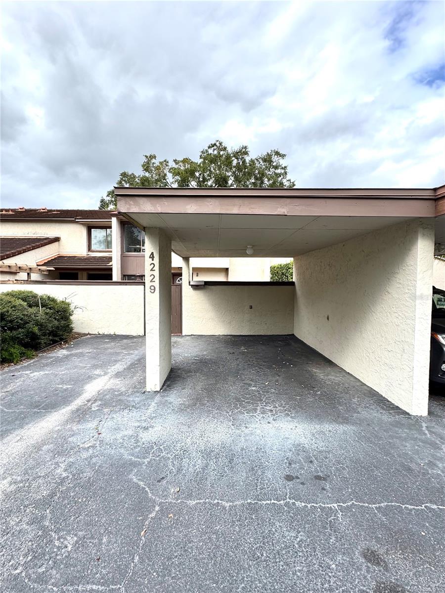 4229 S LAKE ORLANDO PKWY #133, ORLANDO, FL, 32808