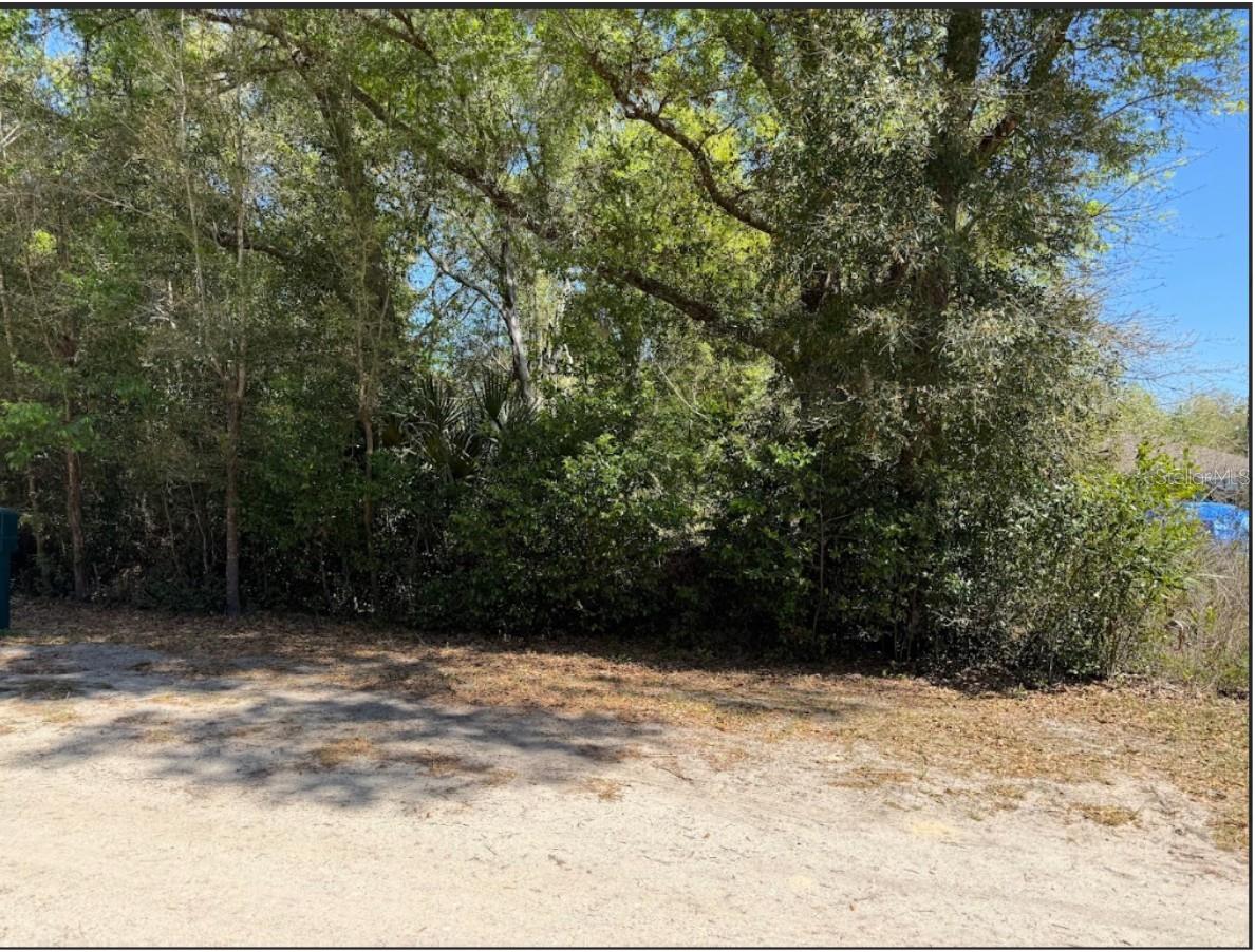 34 CT, BELLEVIEW, FL, 34420