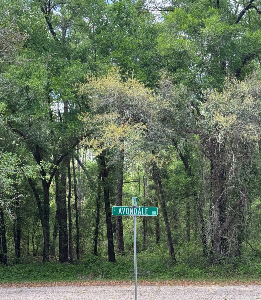 433 E AVONDALE DR, DUNNELLON, FL, 34434
