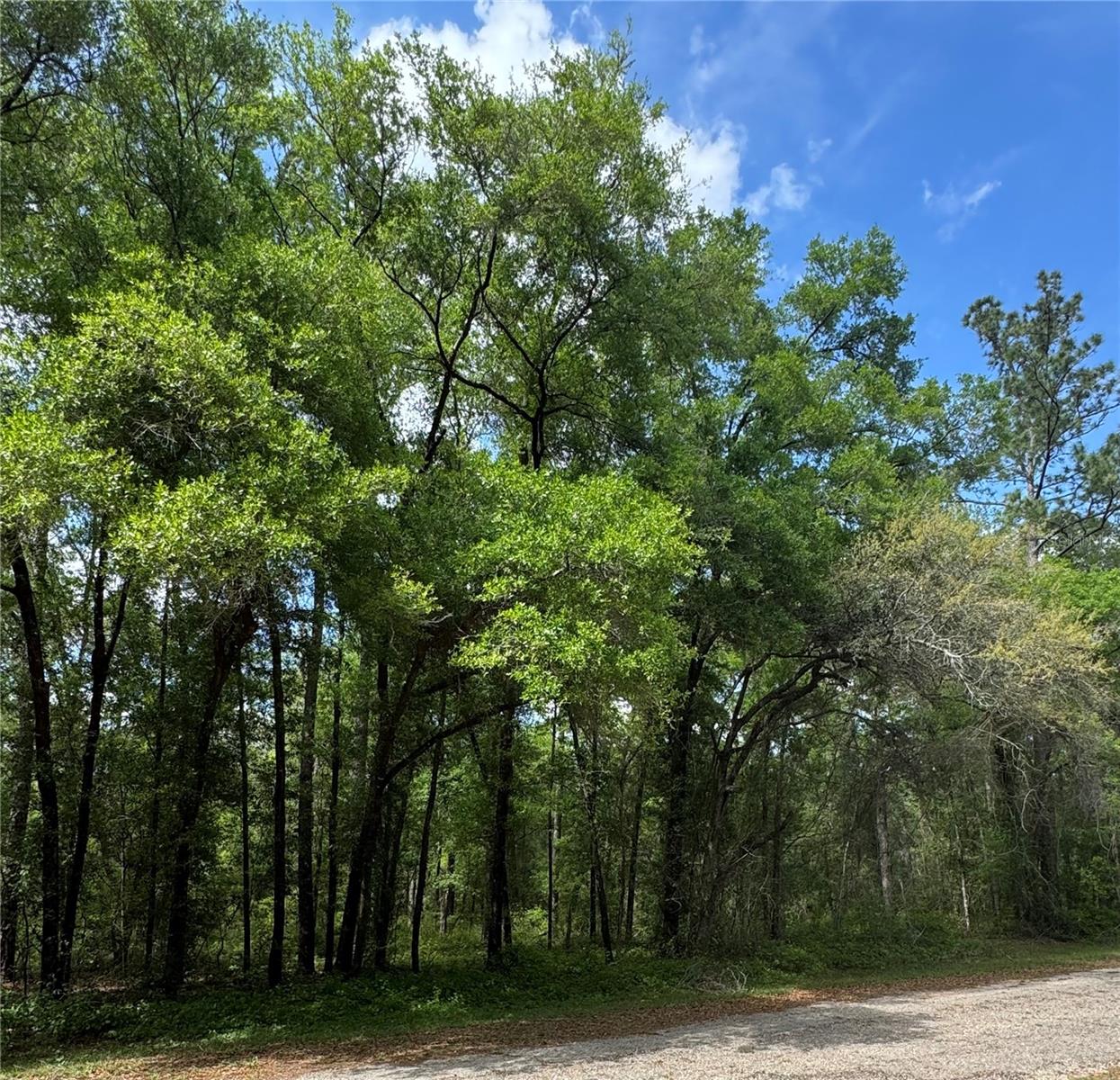 433 E AVONDALE DR, DUNNELLON, FL, 34434