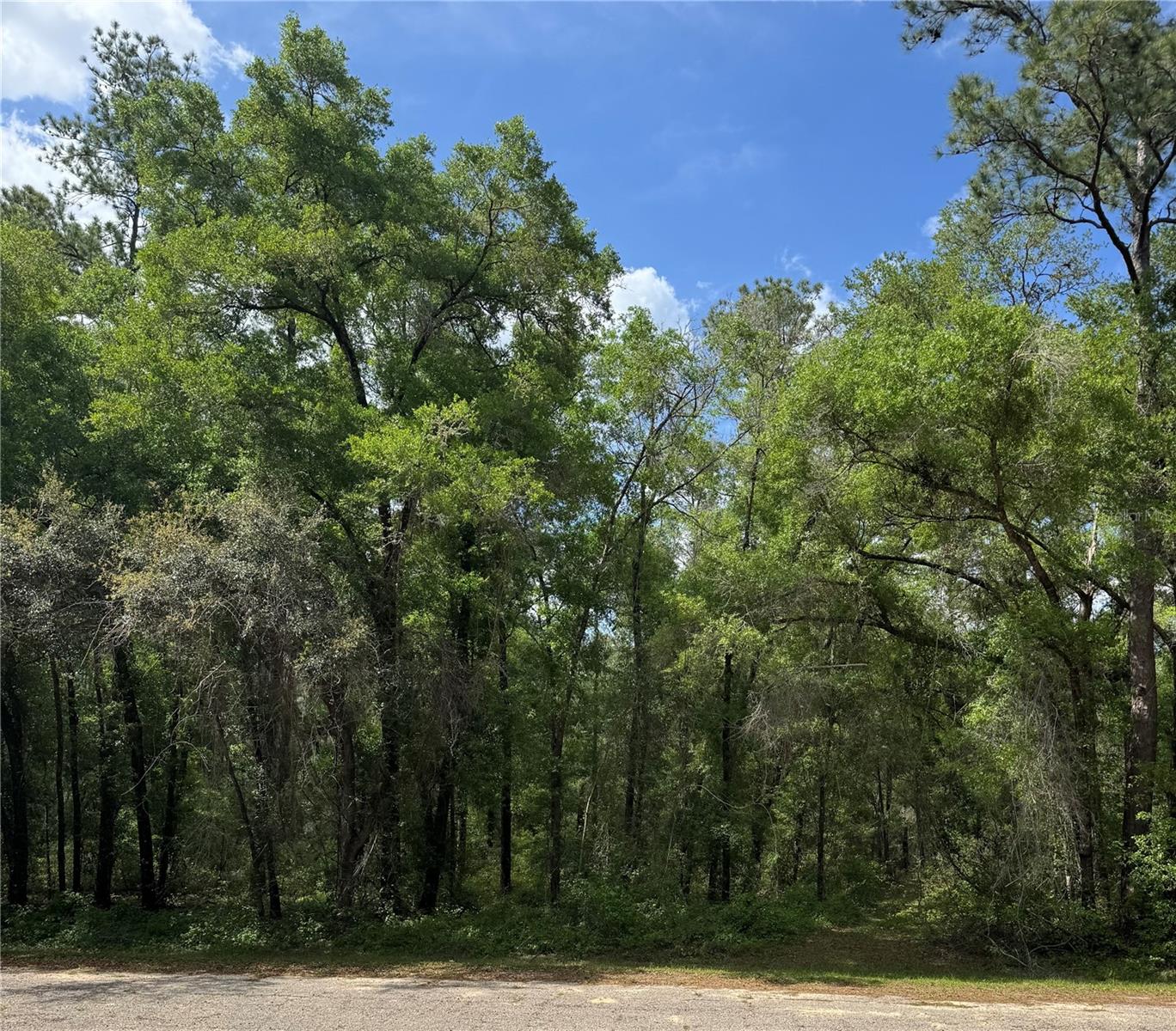 433 E AVONDALE DR, DUNNELLON, FL, 34434