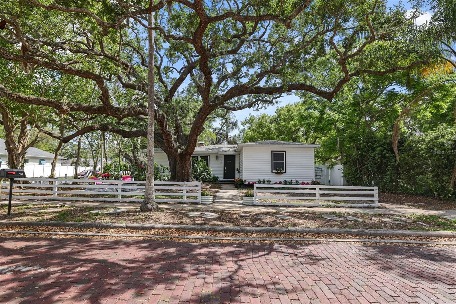 559 SCOTLAND ST, DUNEDIN, FL, 34698