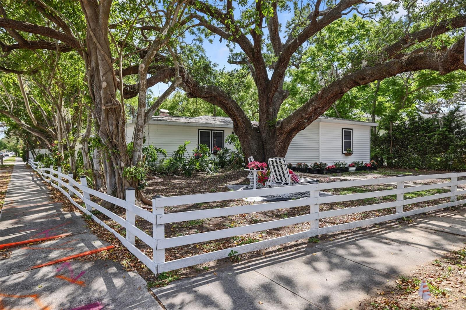 559 SCOTLAND ST, DUNEDIN, FL, 34698