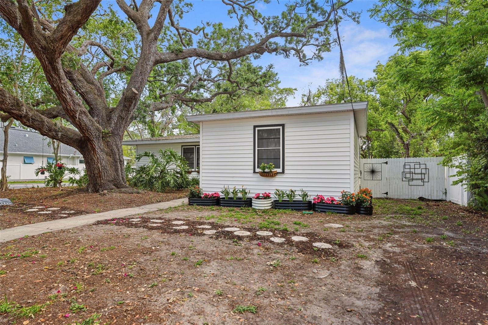 559 SCOTLAND ST, DUNEDIN, FL, 34698