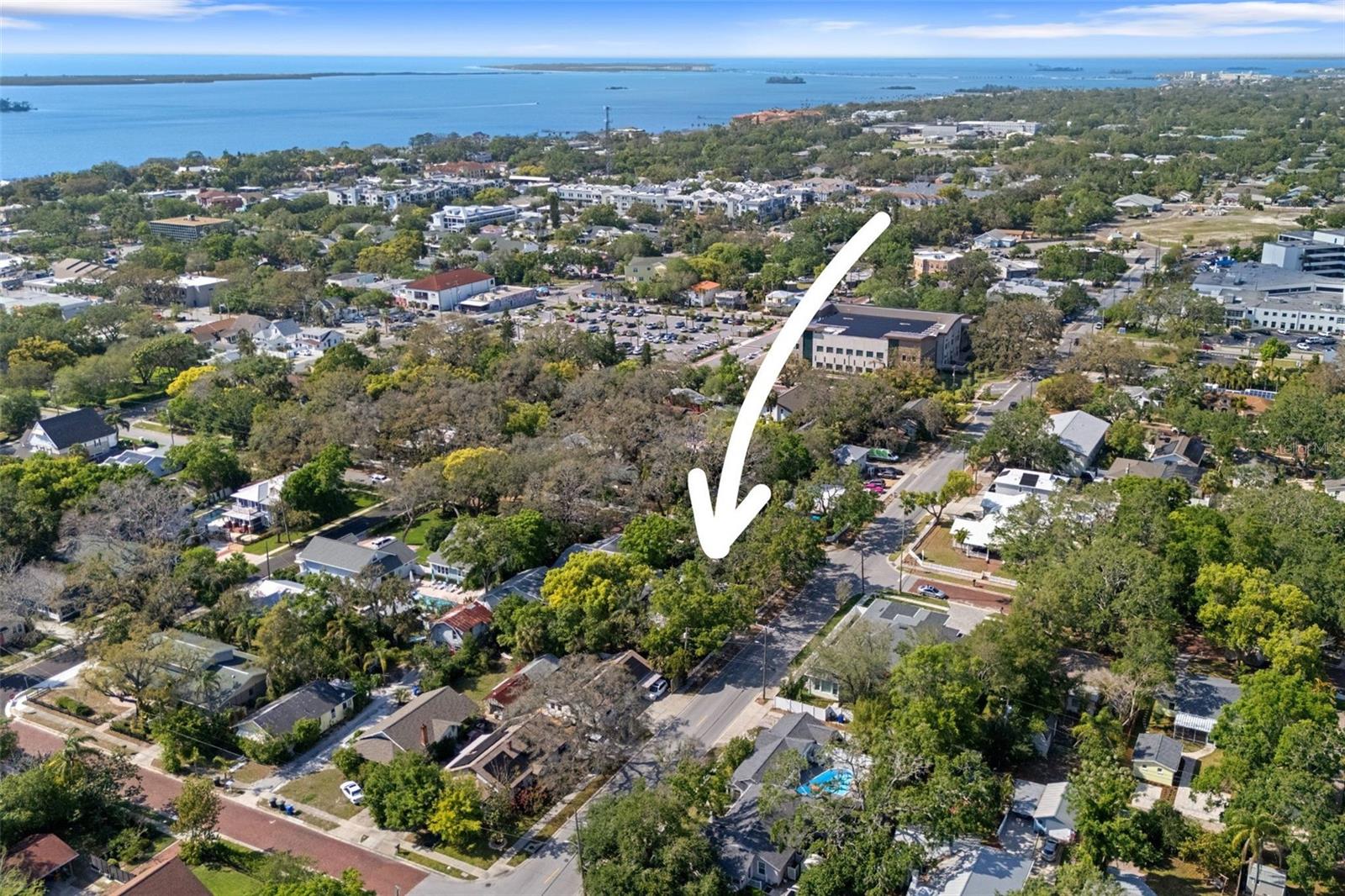 559 SCOTLAND ST, DUNEDIN, FL, 34698