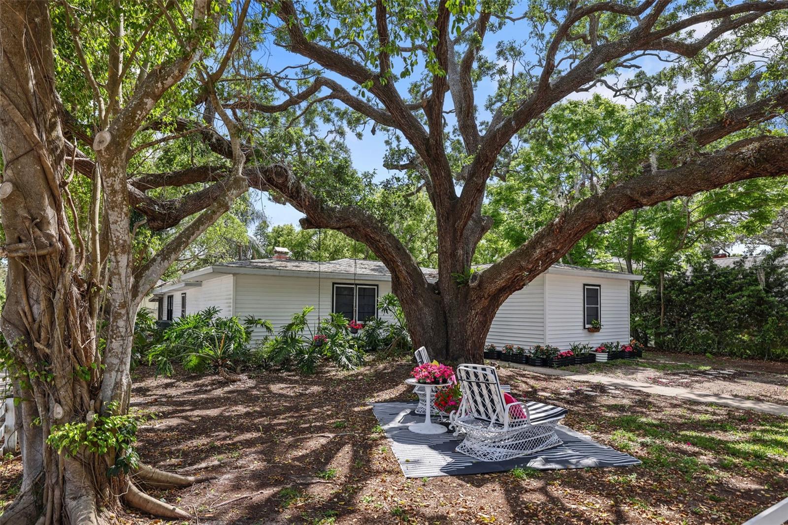 559 SCOTLAND ST, DUNEDIN, FL, 34698