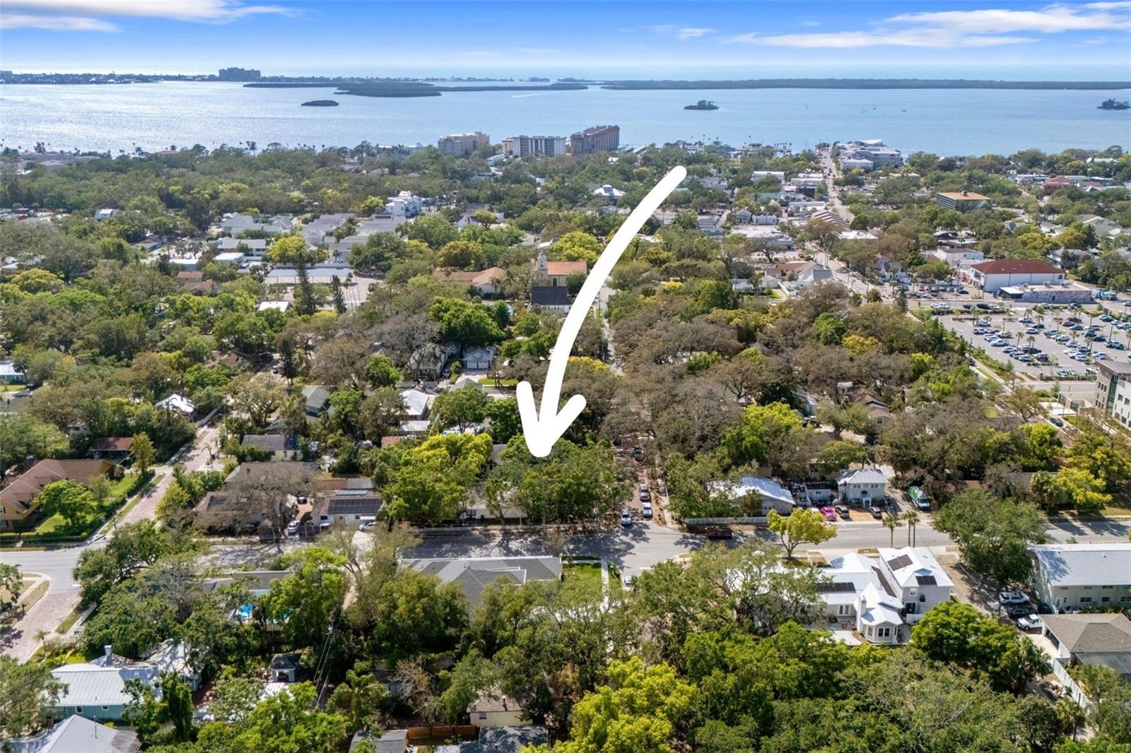559 SCOTLAND ST, DUNEDIN, FL, 34698