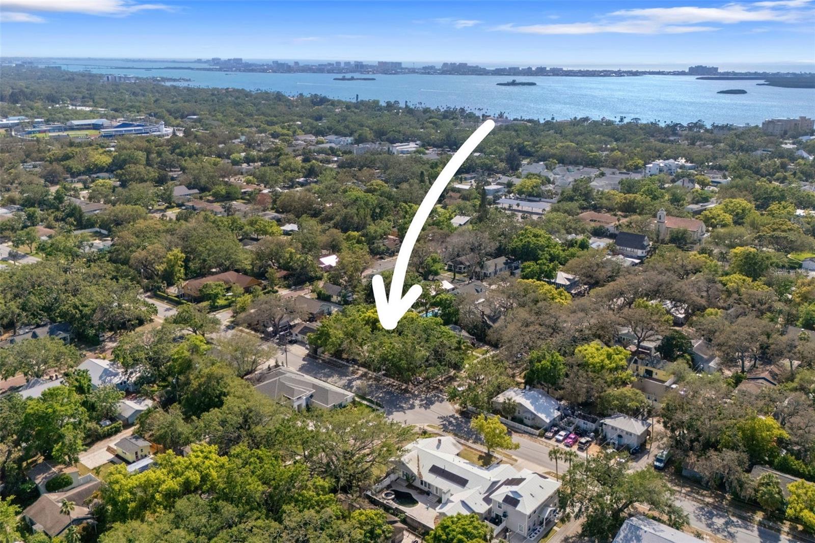 559 SCOTLAND ST, DUNEDIN, FL, 34698