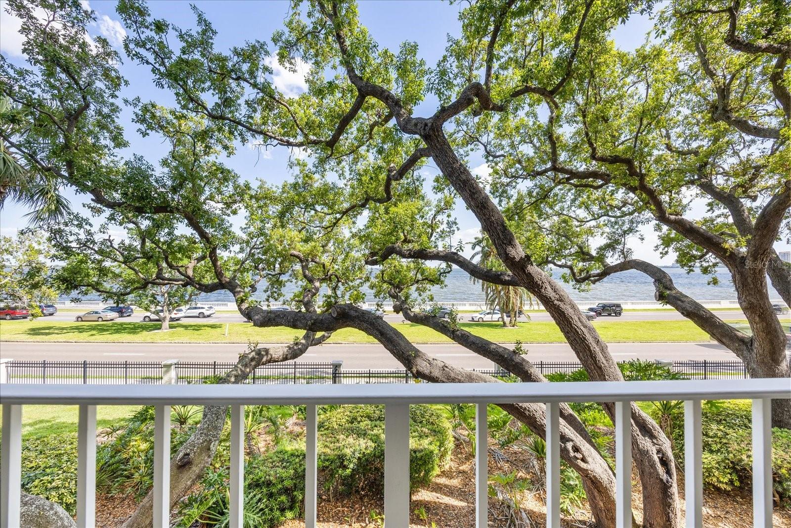 2611 BAYSHORE BLVD #207, TAMPA, FL, 33629