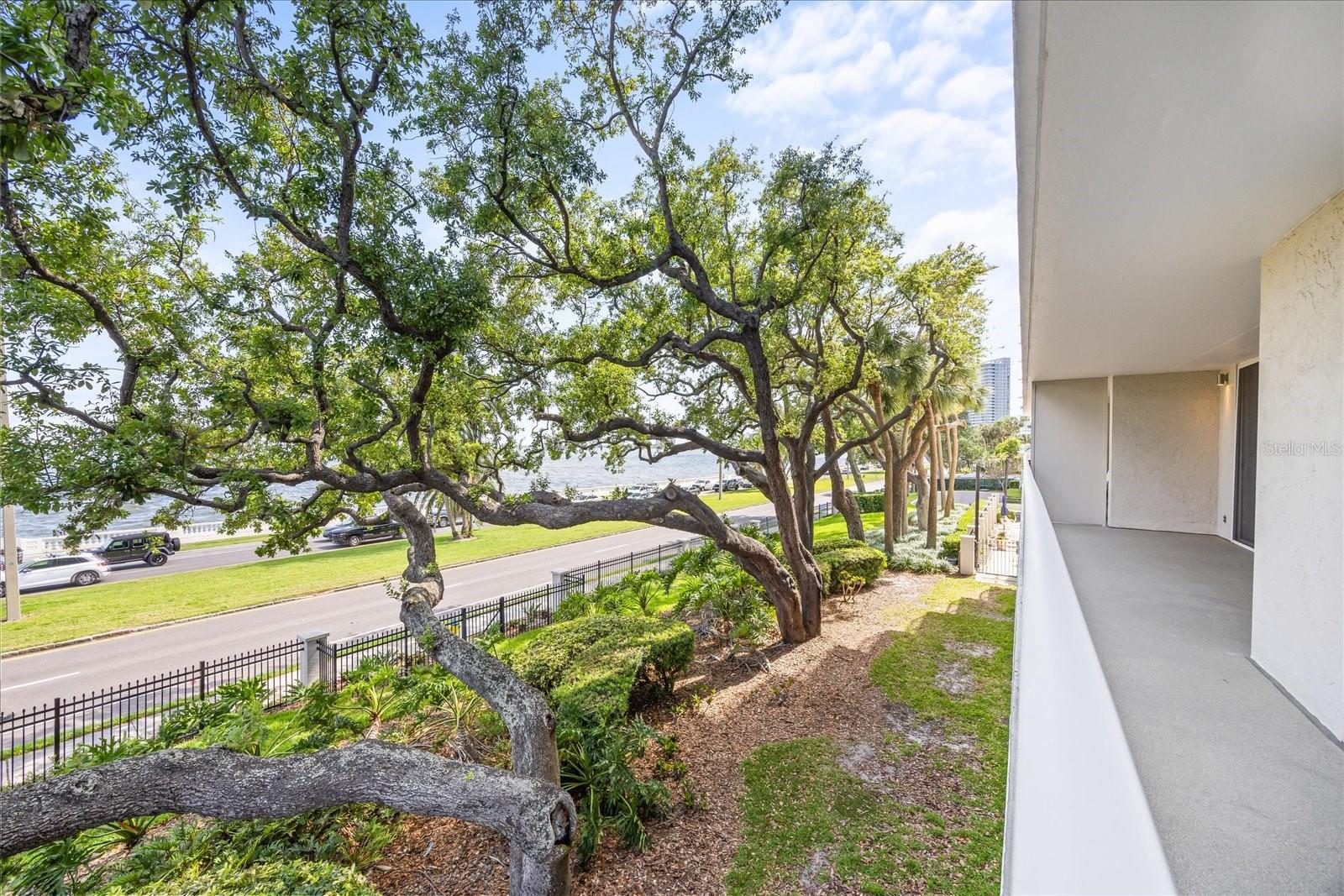 2611 BAYSHORE BLVD #207, TAMPA, FL, 33629