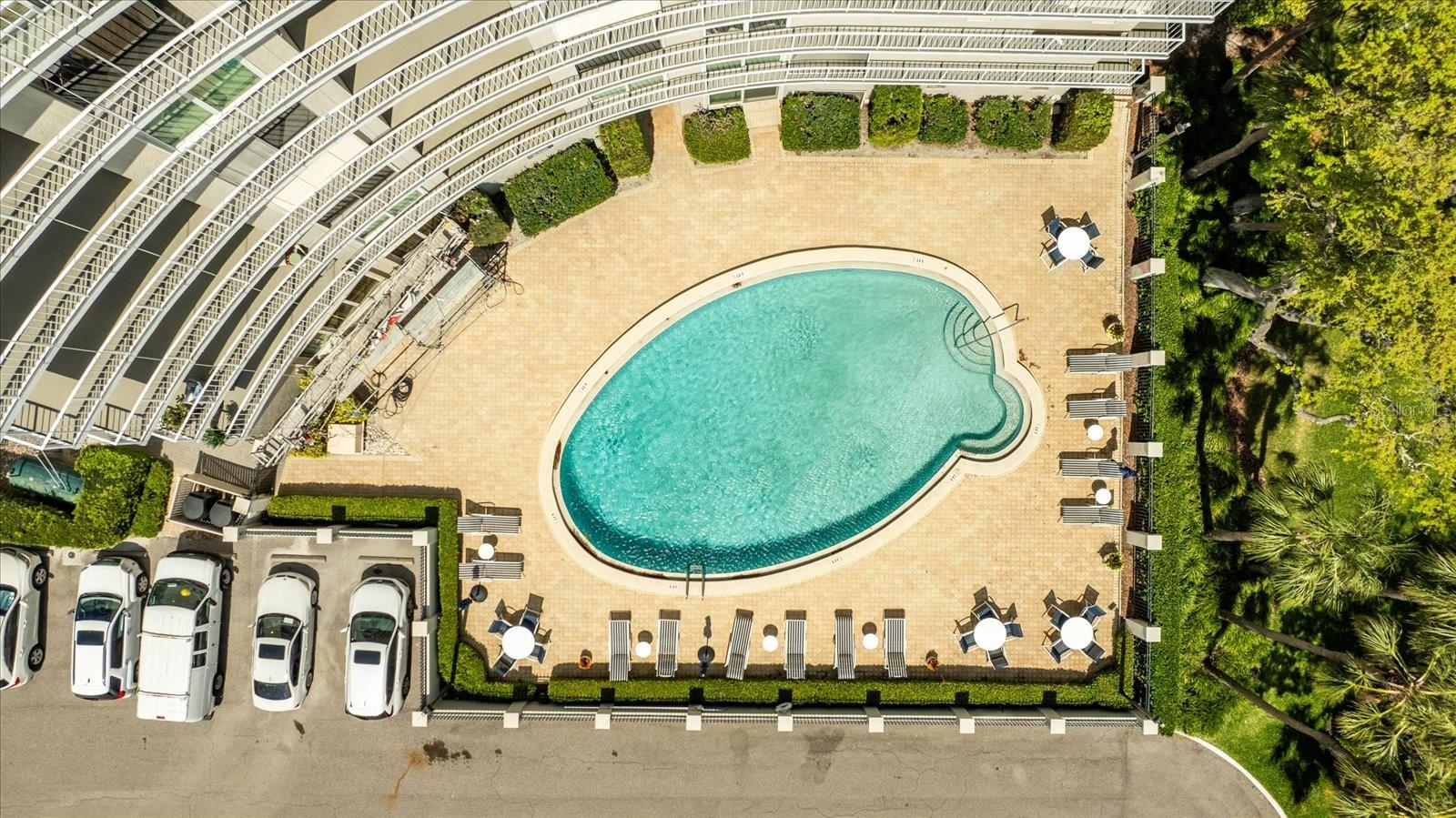 2611 BAYSHORE BLVD #207, TAMPA, FL, 33629