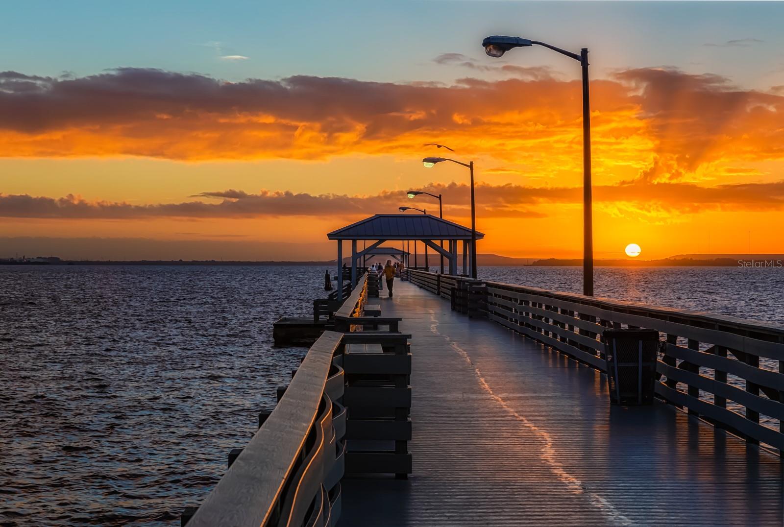 2611 BAYSHORE BLVD #207, TAMPA, FL, 33629