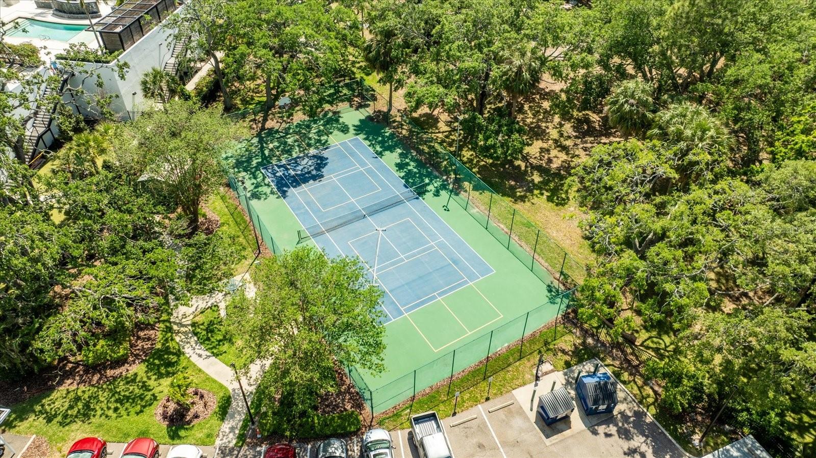 2611 BAYSHORE BLVD #207, TAMPA, FL, 33629