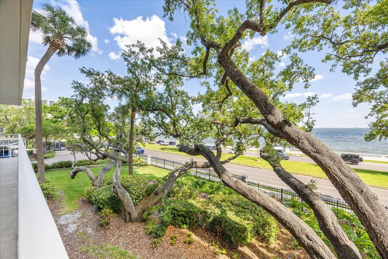 2611 BAYSHORE BLVD #207, TAMPA, FL, 33629