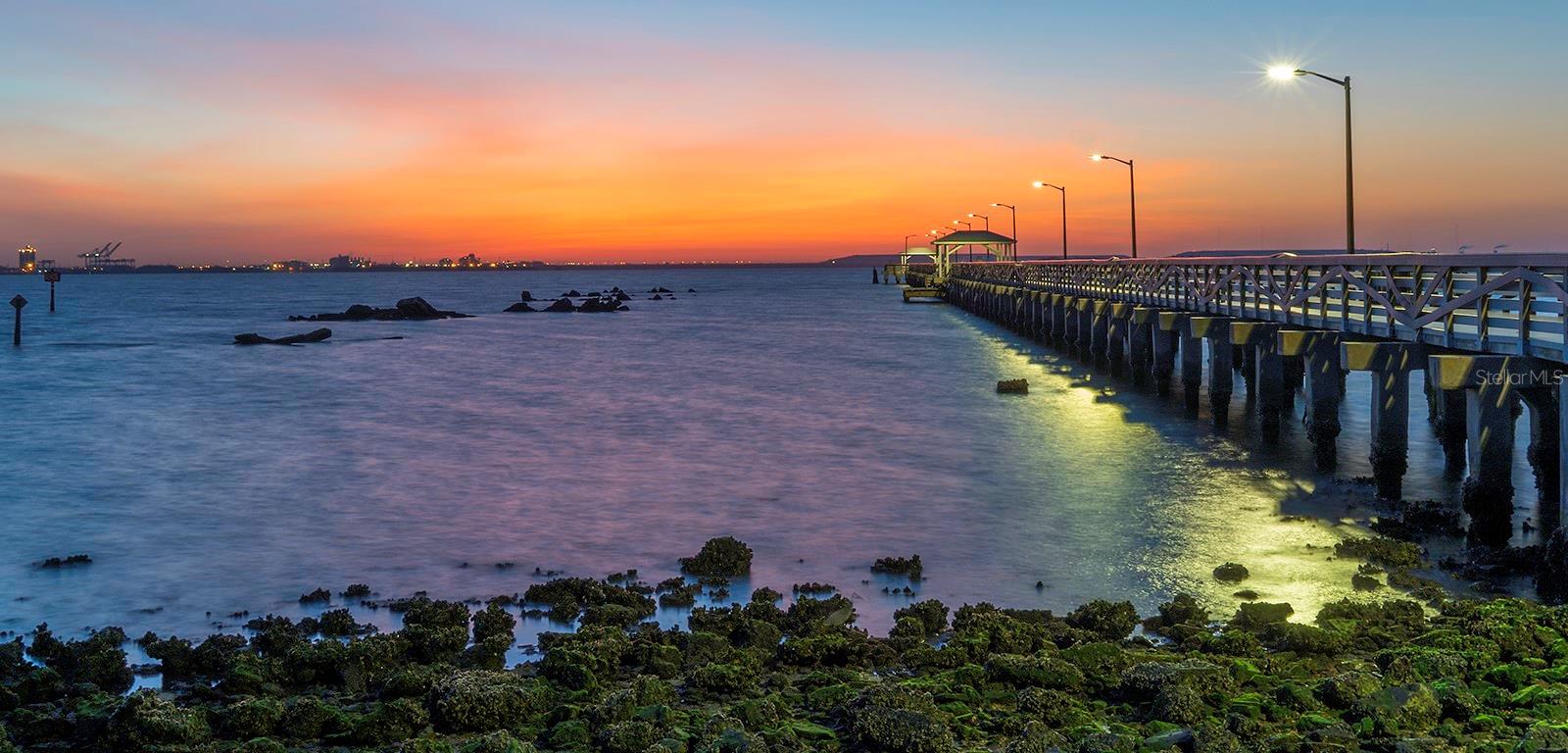 2611 BAYSHORE BLVD #207, TAMPA, FL, 33629