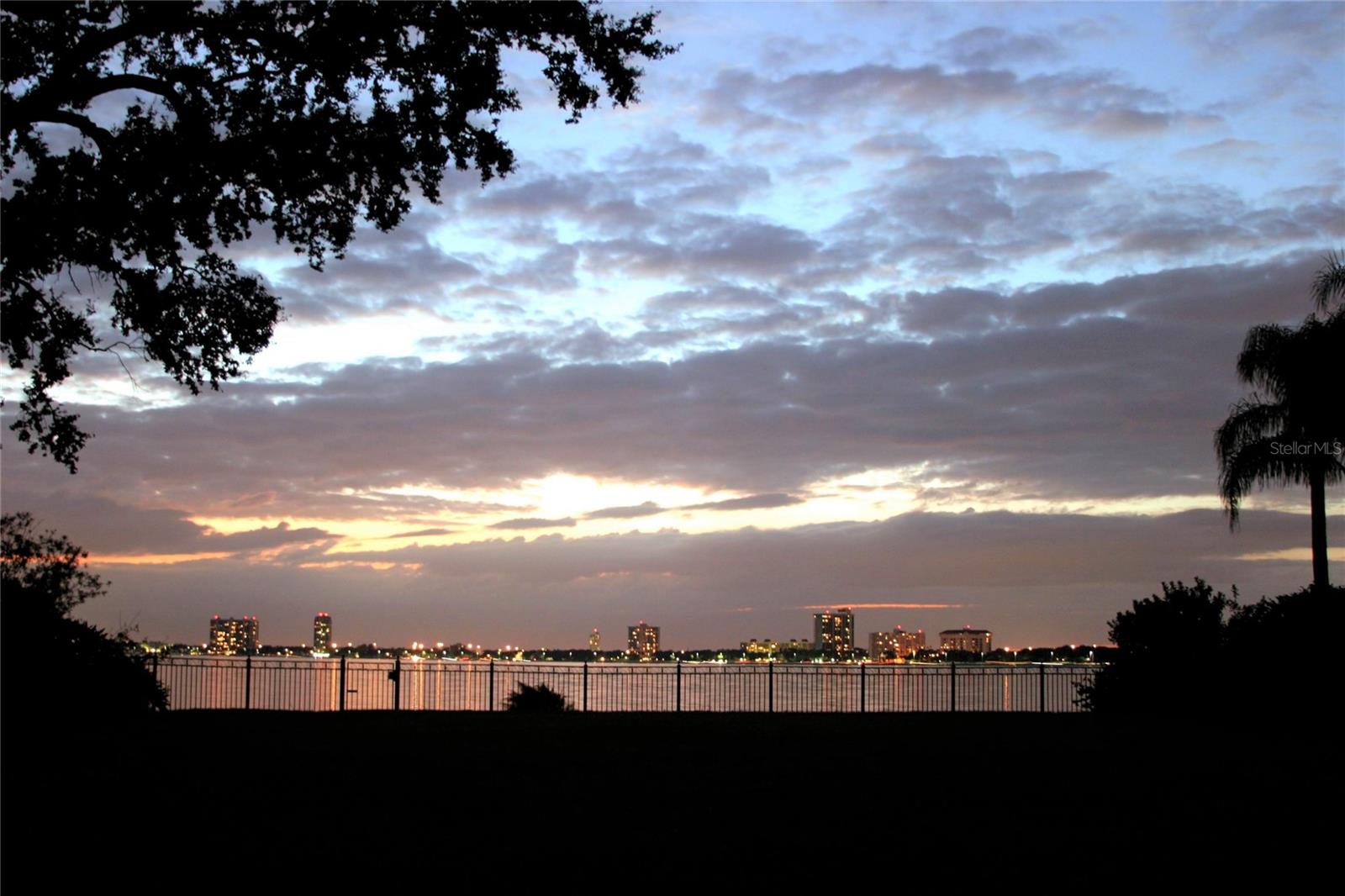 2611 BAYSHORE BLVD #207, TAMPA, FL, 33629