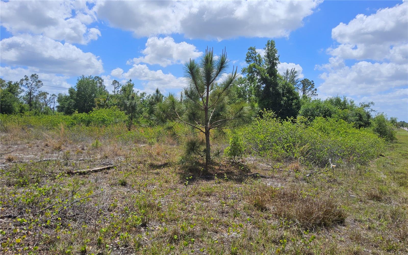 2290 SULSTONE DR, PUNTA GORDA, FL, 33983