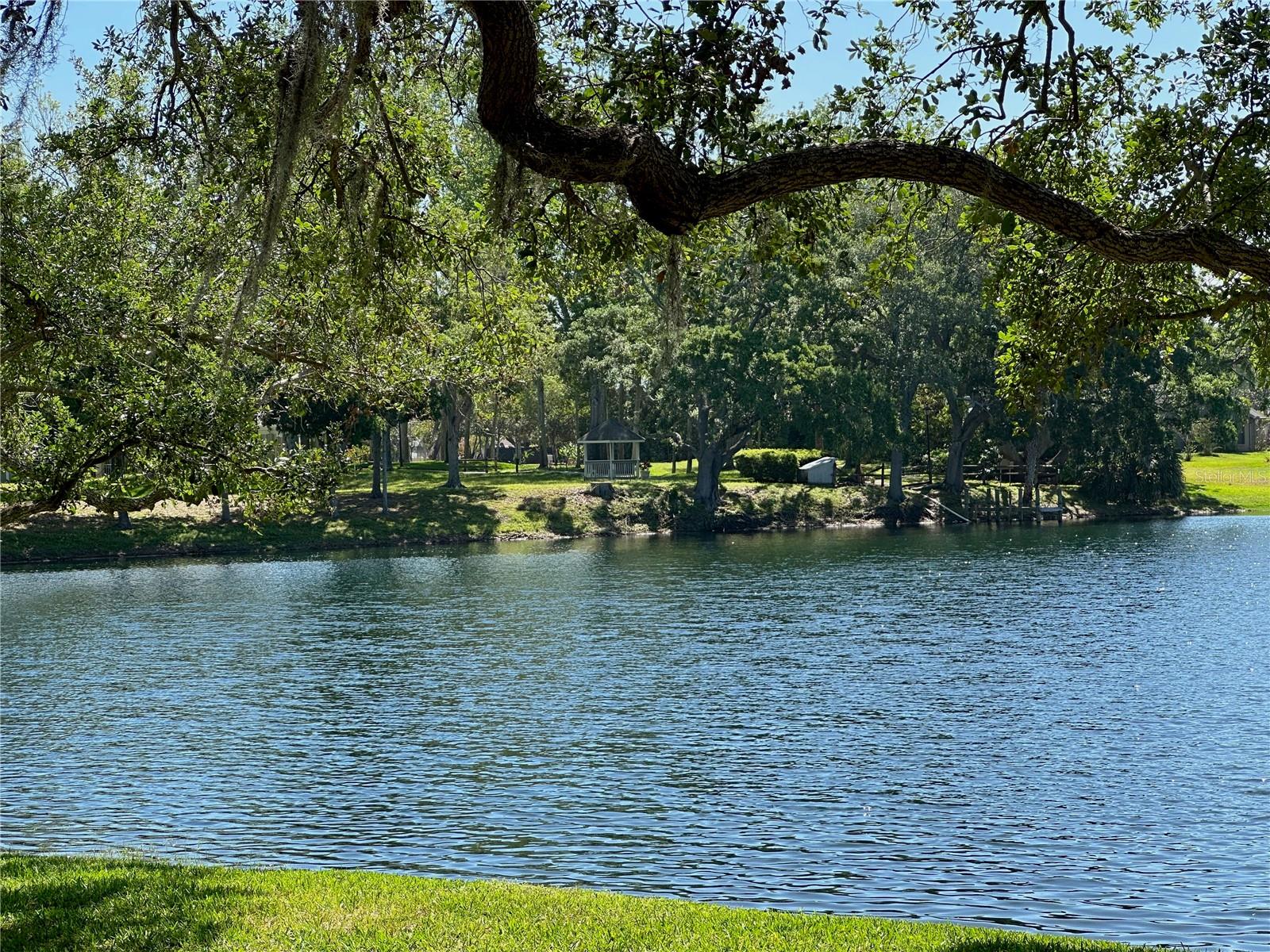 3000 TANGERINE TER, PALM HARBOR, FL, 34684