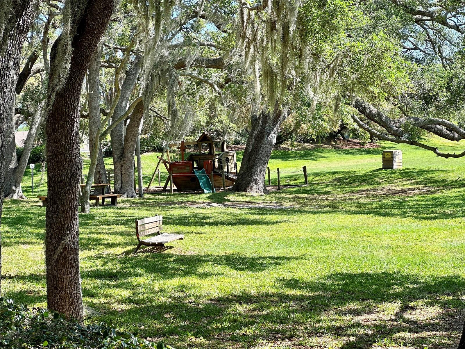 3000 TANGERINE TER, PALM HARBOR, FL, 34684