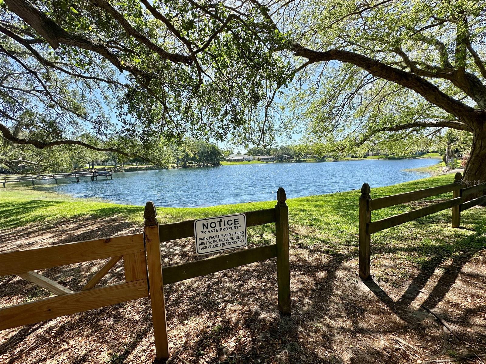 3000 TANGERINE TER, PALM HARBOR, FL, 34684