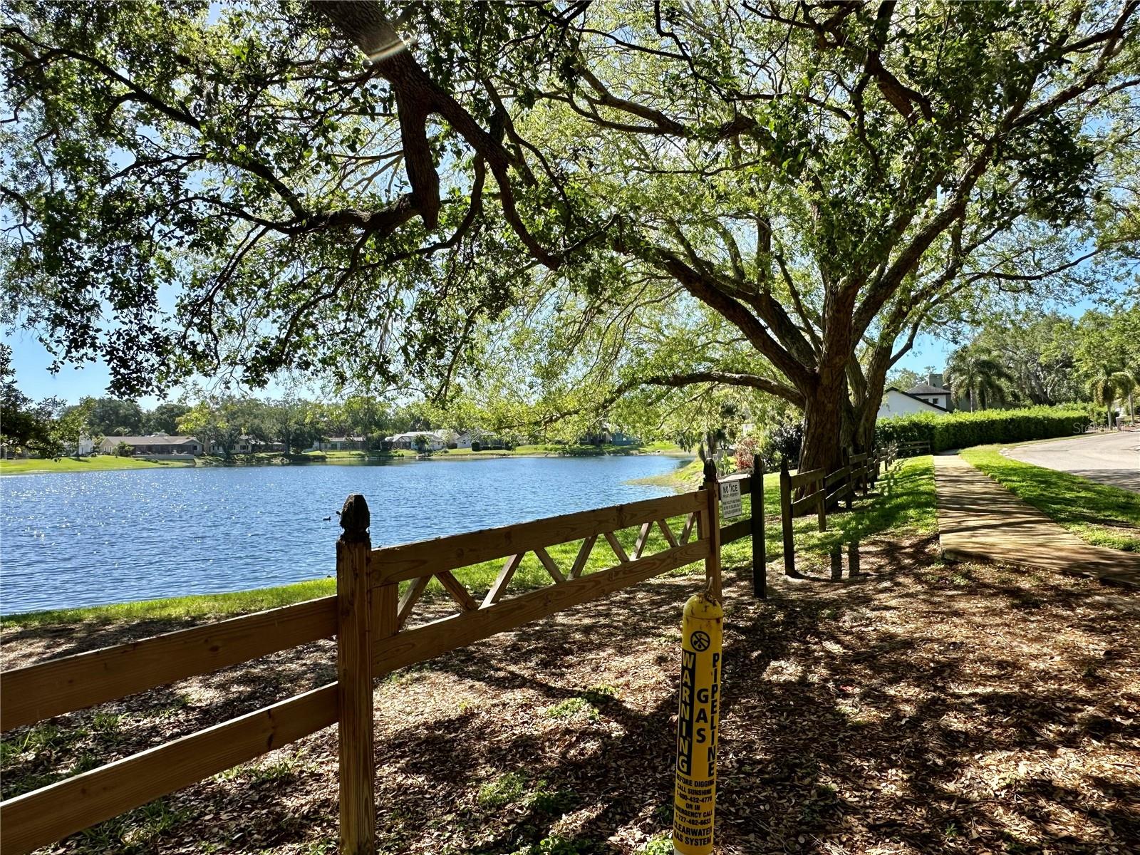 3000 TANGERINE TER, PALM HARBOR, FL, 34684