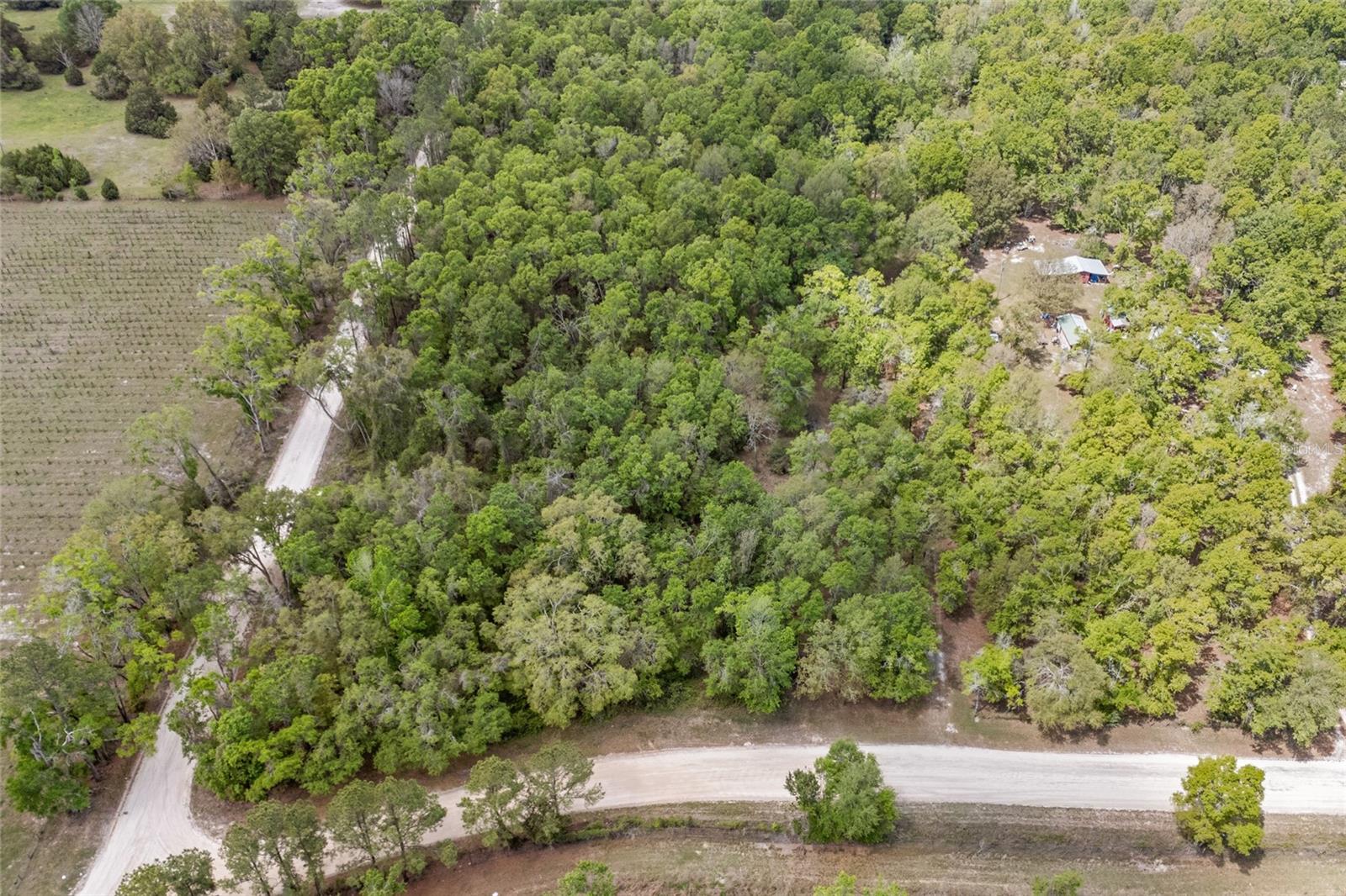 1520 SW DREW FEAGLE AVE, FORT WHITE, FL, 32038