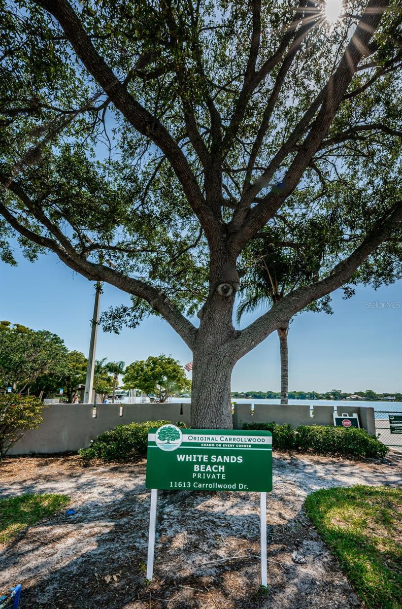 3603 SCHEFFLERA RD, TAMPA, FL, 33618
