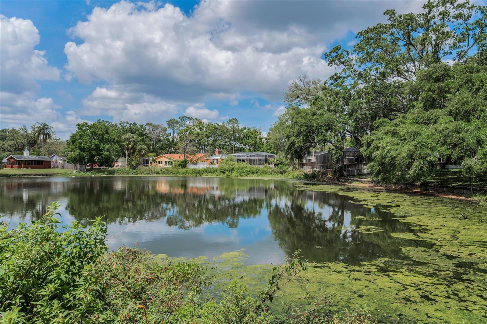 3603 SCHEFFLERA RD, TAMPA, FL, 33618