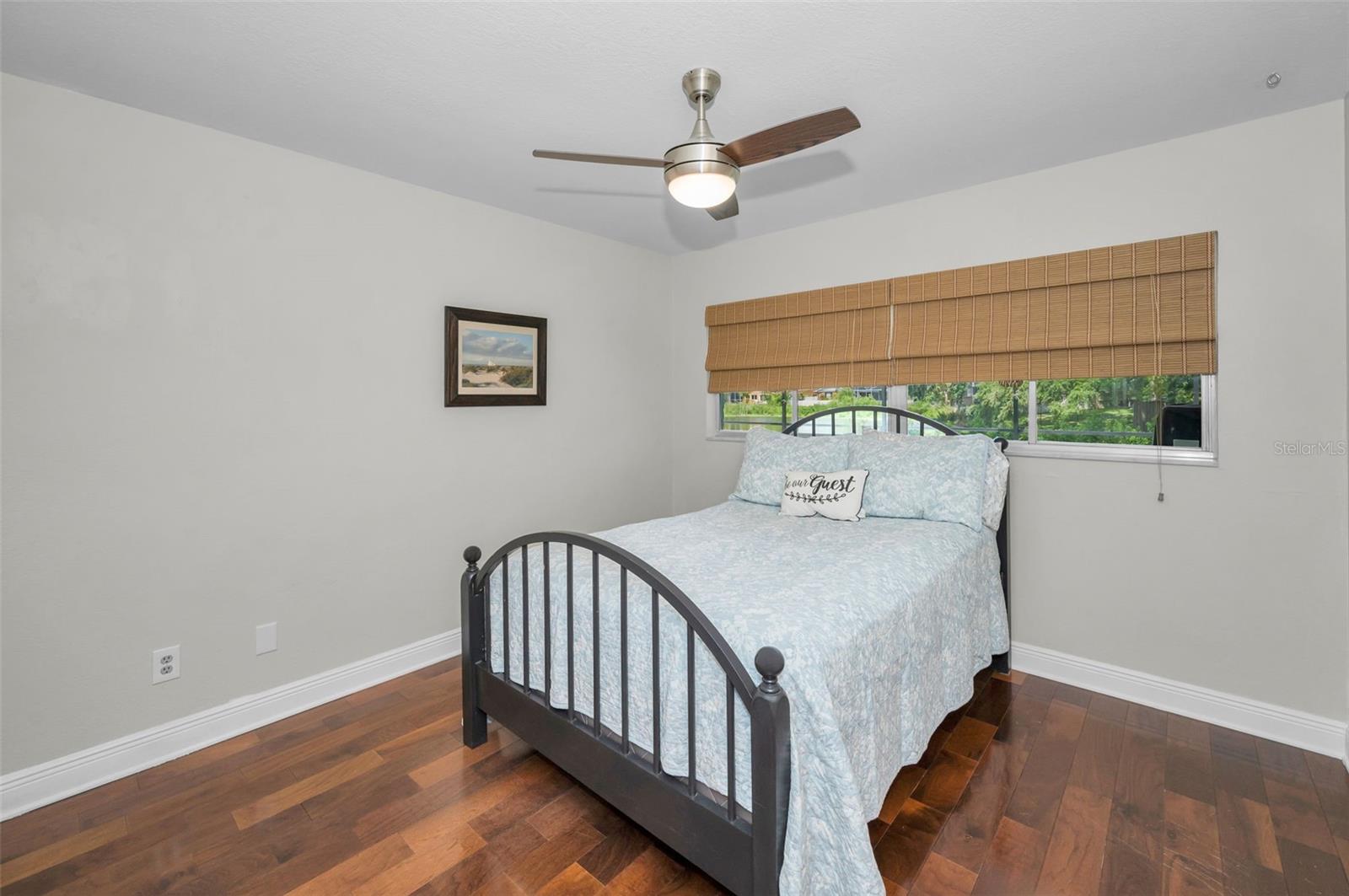 3603 SCHEFFLERA RD, TAMPA, FL, 33618