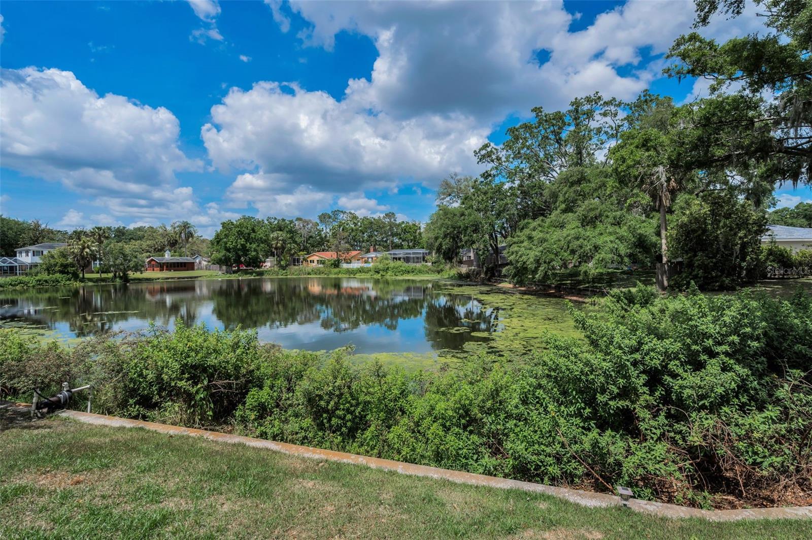 3603 SCHEFFLERA RD, TAMPA, FL, 33618