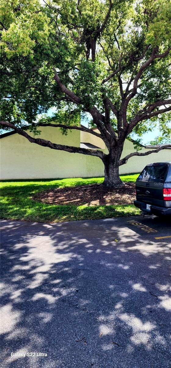 4548 SOMERSET PL, NEW PORT RICHEY, FL, 34652