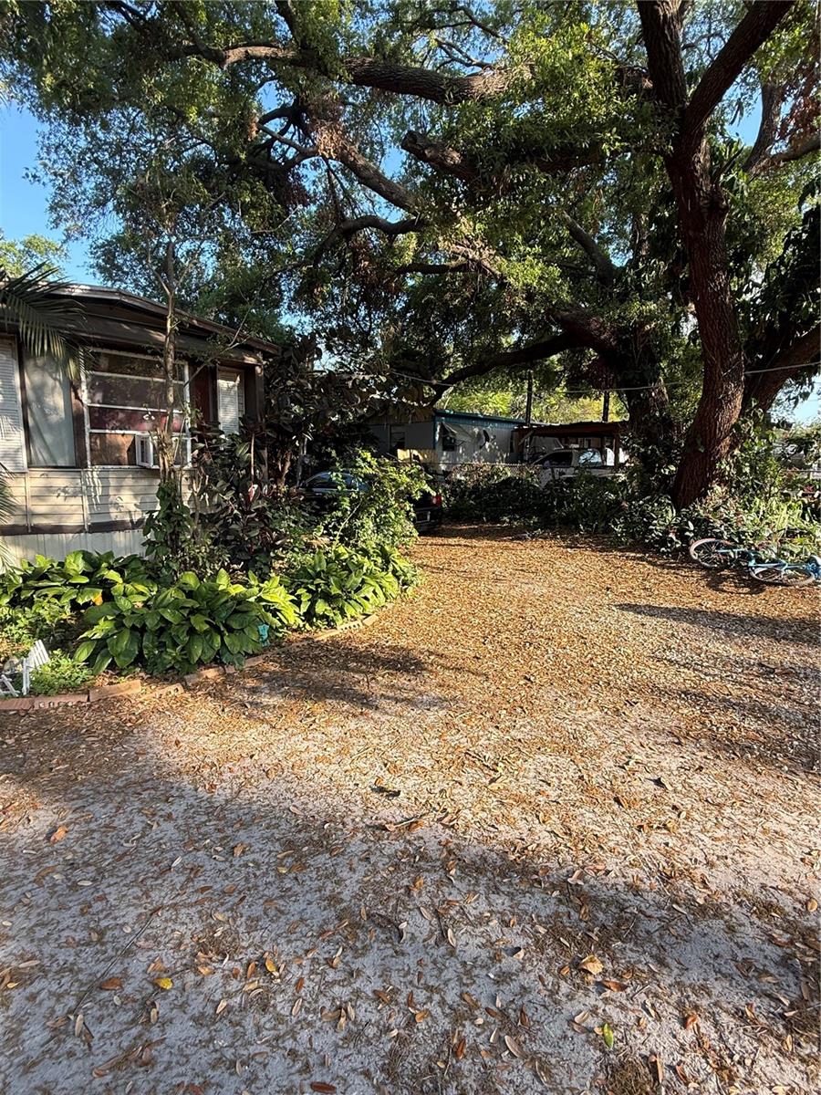 10020 ALAVISTA DR, GIBSONTON, FL, 33534