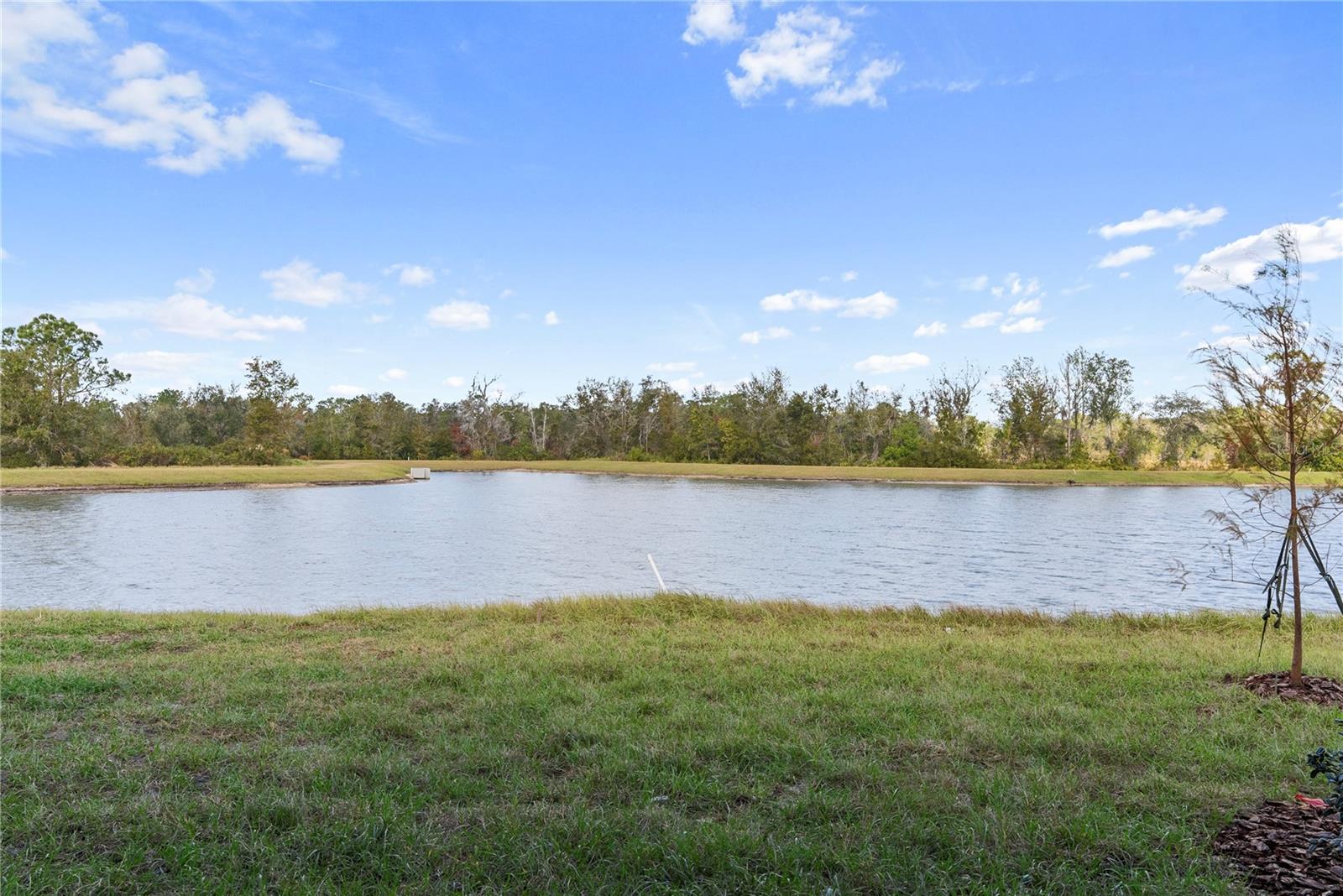 AVALON PK WEST-NORTH PHS 2 4 5, WESLEY CHAPEL, FL, 33545