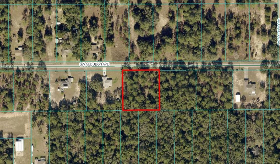 TBD LOT 17 SW AUDUBON AVE, DUNNELLON, FL, 34431