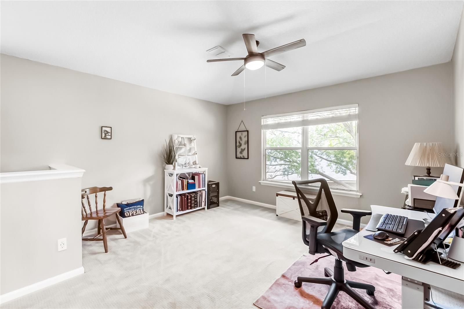 745 TIMBERMILL LN, ORANGE PARK, FL, 32065