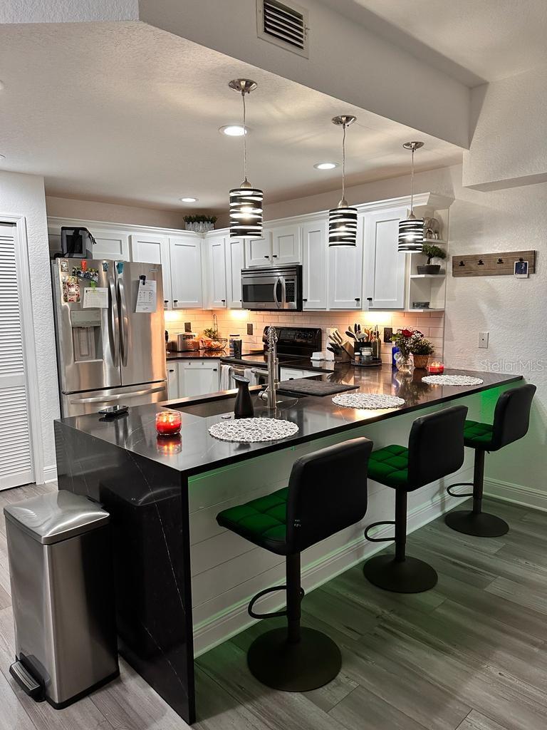 1735 HAMMOCKS AVE #1502, LUTZ, FL, 33549