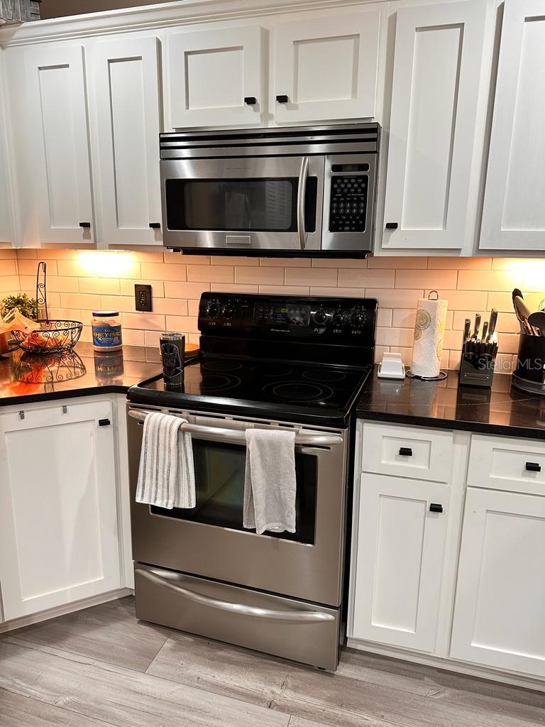 1735 HAMMOCKS AVE #1502, LUTZ, FL, 33549