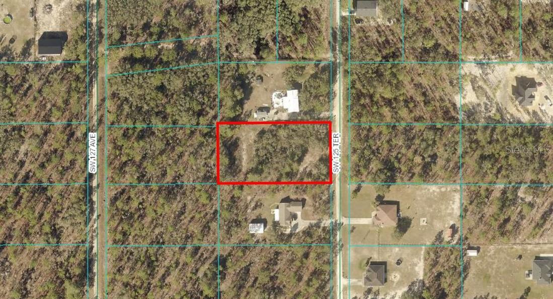 TBD LOT 10 SW 125TH TER, DUNNELLON, FL, 34432