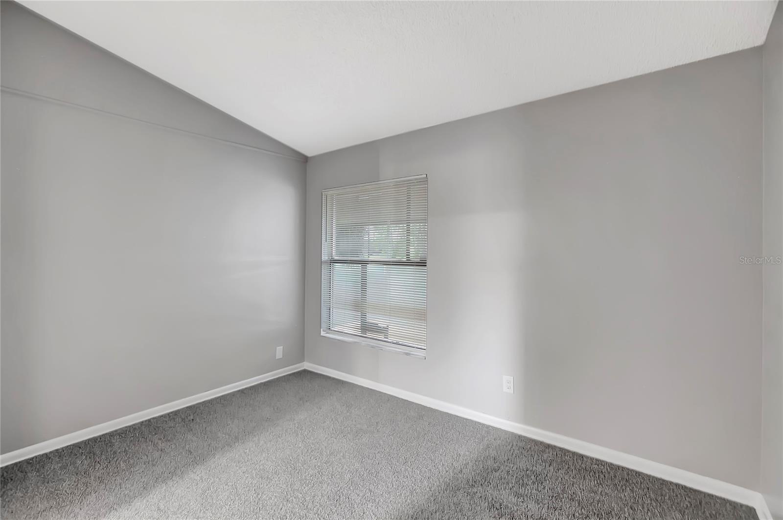 5310 BELLEFIELD DR, TAMPA, FL, 33624