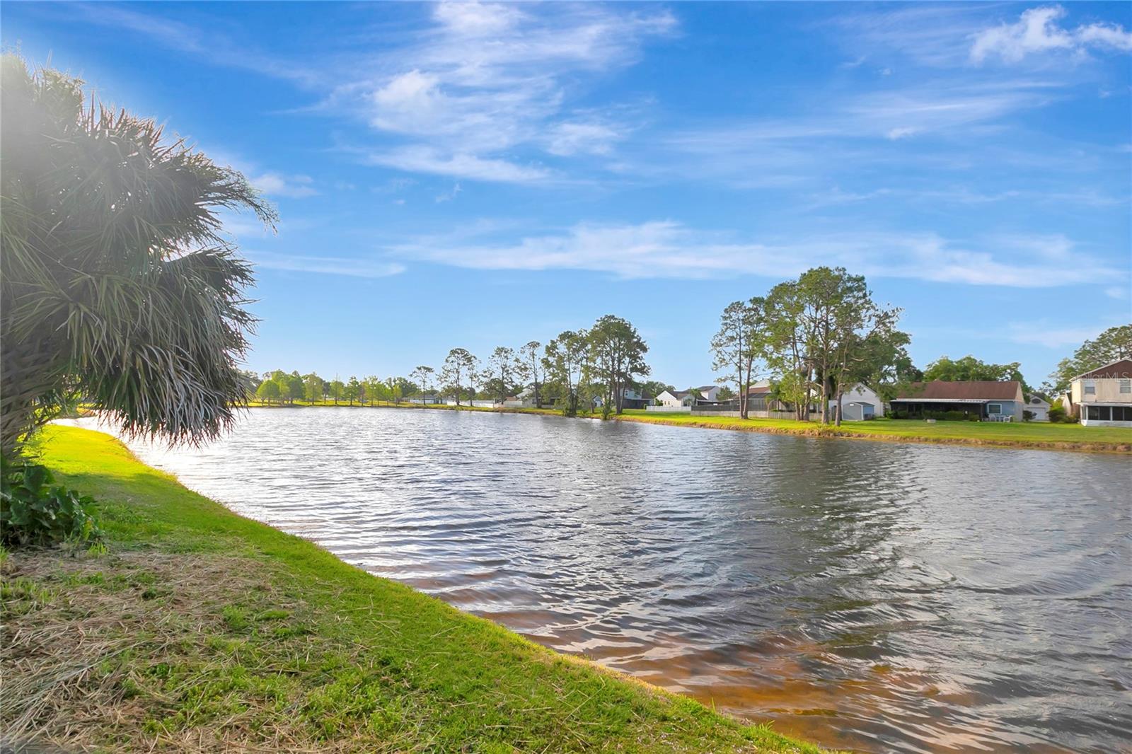 5310 BELLEFIELD DR, TAMPA, FL, 33624