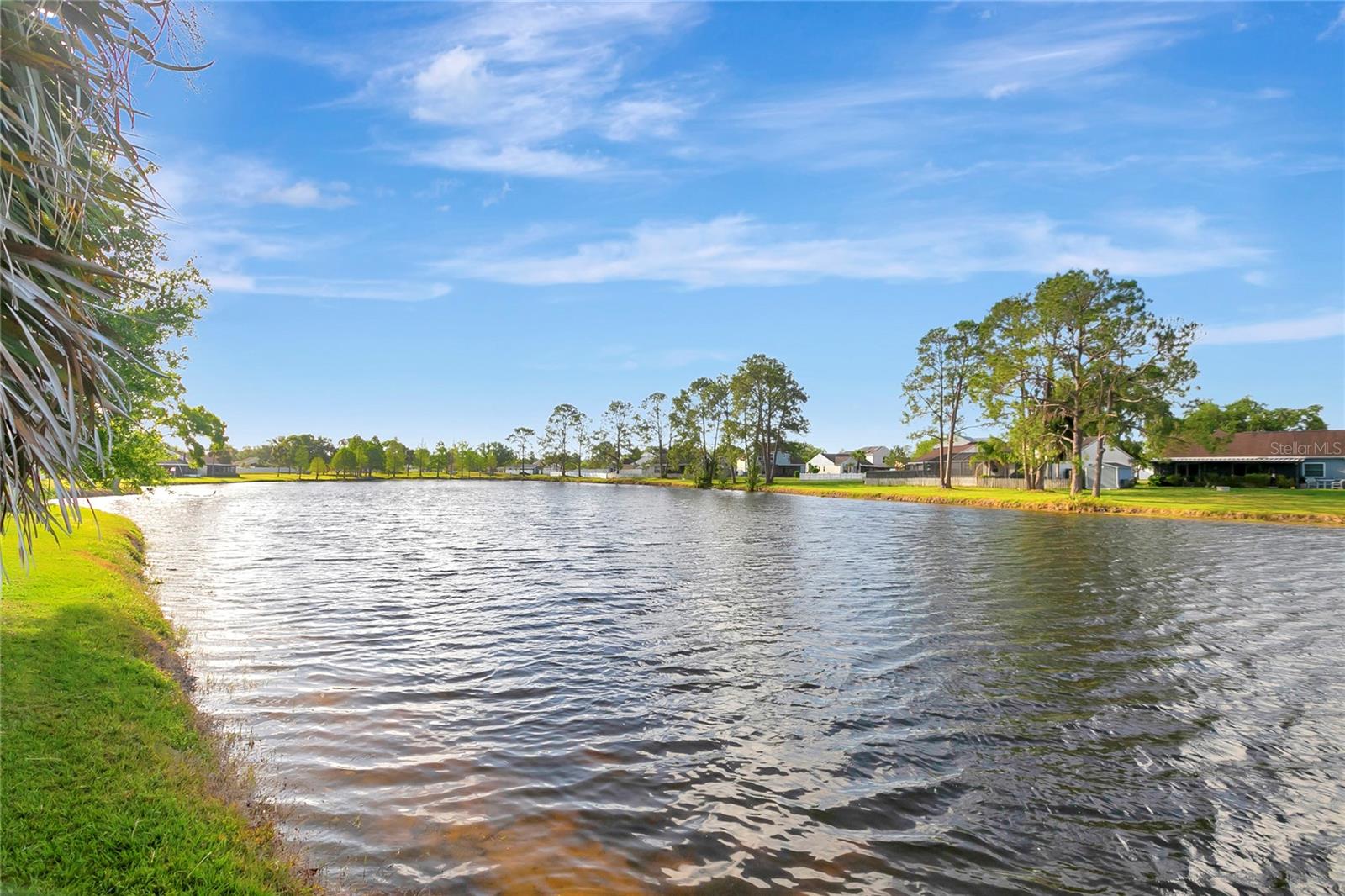 5310 BELLEFIELD DR, TAMPA, FL, 33624