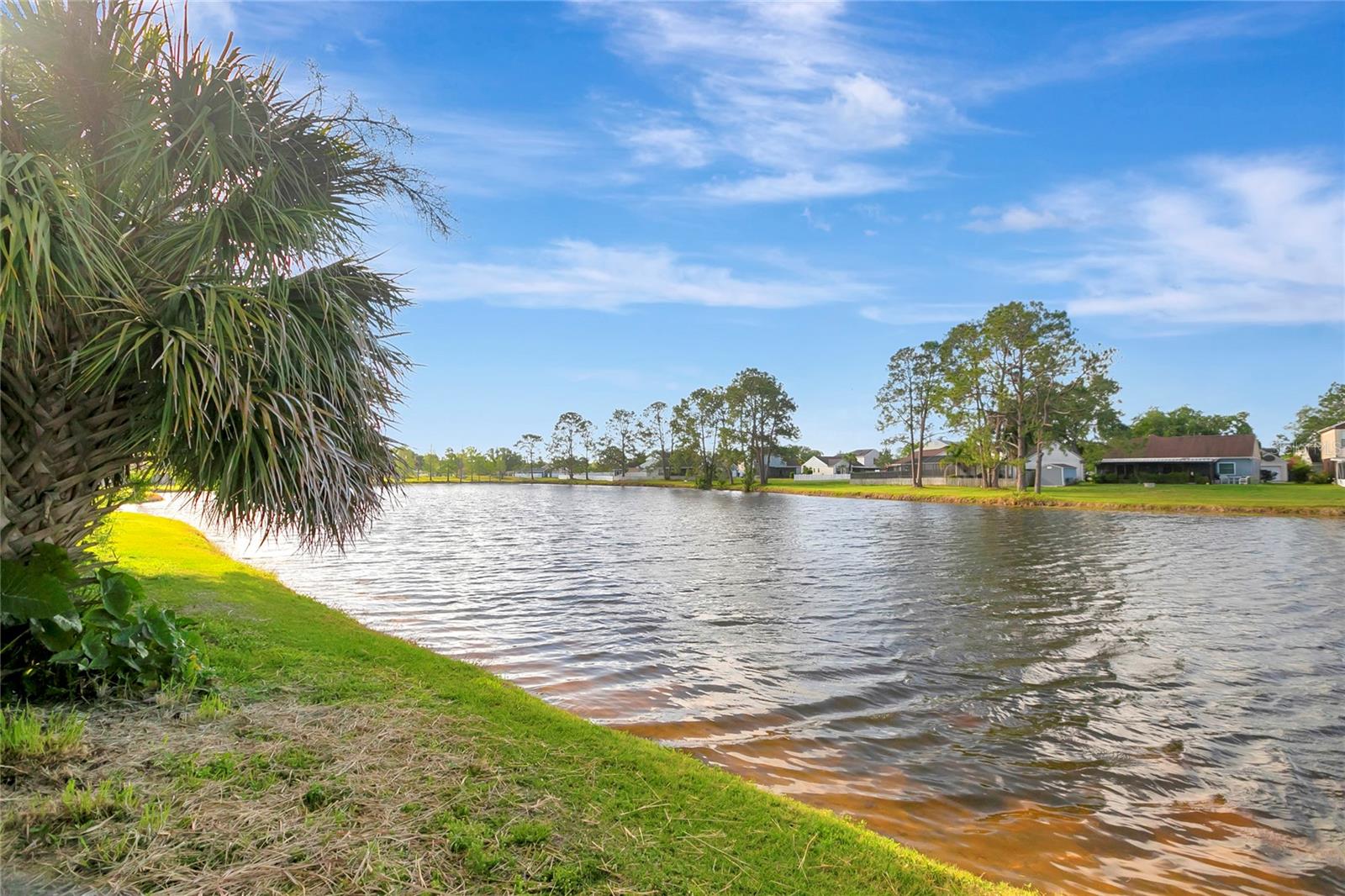 5310 BELLEFIELD DR, TAMPA, FL, 33624