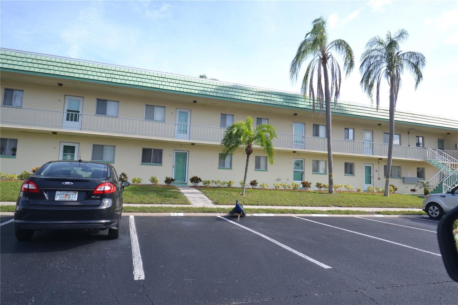 2003 GREENBRIAR BLVD #3, CLEARWATER, FL, 33763