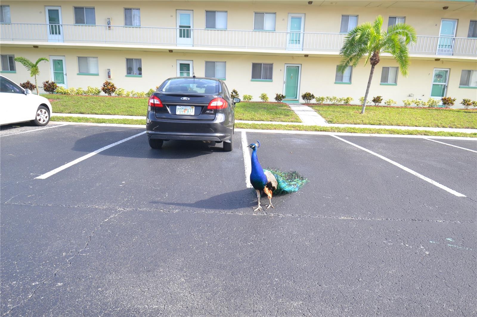 2003 GREENBRIAR BLVD #3, CLEARWATER, FL, 33763